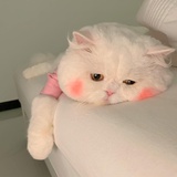 冰糖葫芦串儿