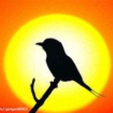 fly_bird