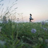 锦奴。