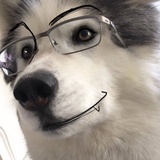ove
