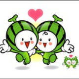灰灰17