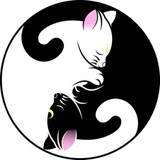 薇儿