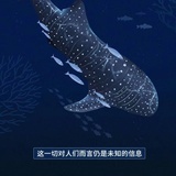 重新玩豆瓣呀