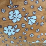 wo执