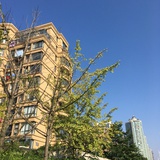 山谷echo