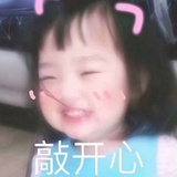 啥也不懂