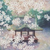 王小圈829