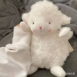 肥茄