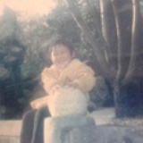 杏花疏影