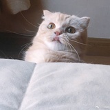 酱酱酱酱
