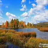 窗边一束花
