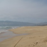 流苏