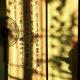一个人的屋顶