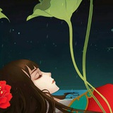 木叩小野马