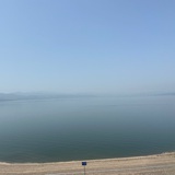 冬