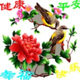 恒宝妈