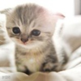 遗忘只要九天。