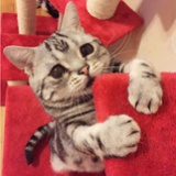 一脸蠢萌怪我咯