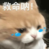 无所畏惧1