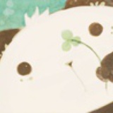小明崽