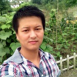 陈东伟