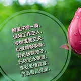 流年001