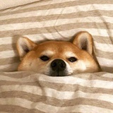 不着调