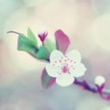 暻小蒙