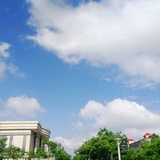 蒲公英的种子
