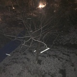 已注销