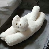 被控制住