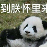 西习徙戏