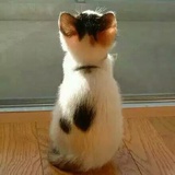 木易