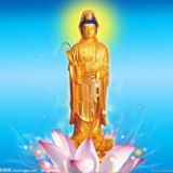 乐易斋主