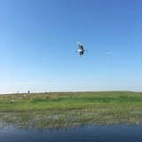sky
