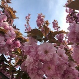 地上的人不说话