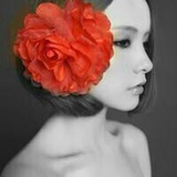 妖精森林518