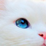 江南晨
