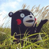 开心小兔纸