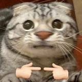 MISSIMISSU