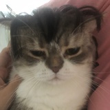 keke_西西里