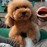 上天堂