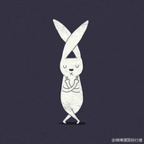 一颗小白菜