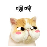 宠爱