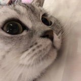 孙大尾
