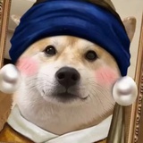 西双版纳刘德华
