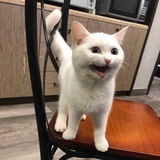 略略略
