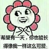 奶油饺子