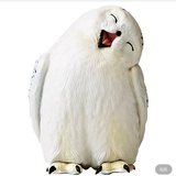 邮件不提醒