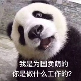 好逗啊
